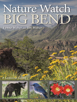 cover image of Nature Watch Big Bend